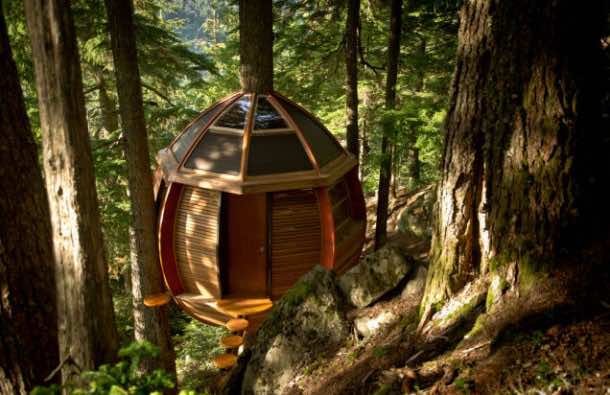 Amazing treehouse 22