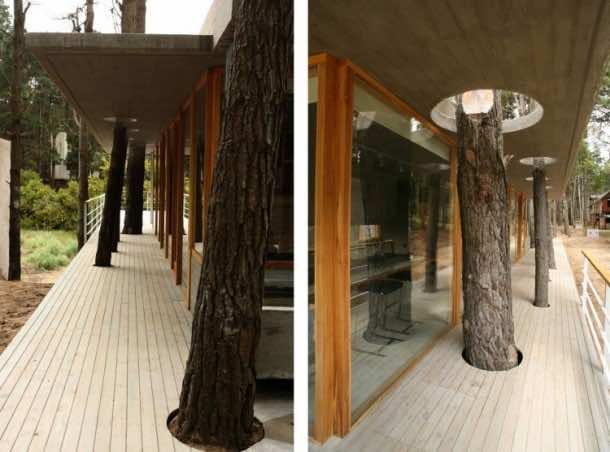 Amazing treehouse 30