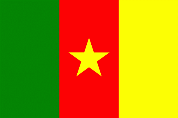 Cameroon Flag (1)