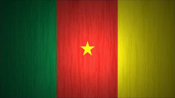 Cameroon Flag (10)