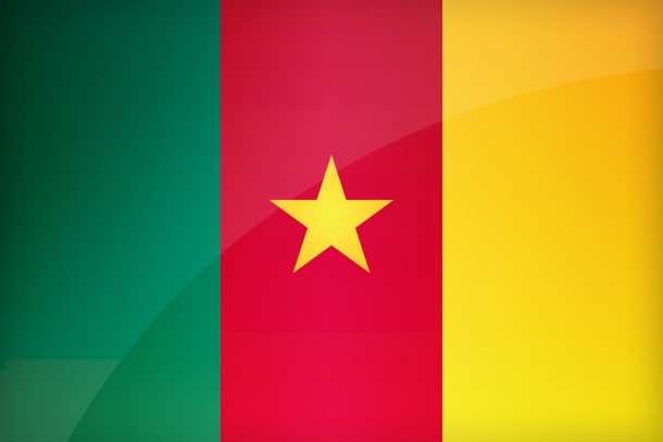 Cameroon Flag (12)
