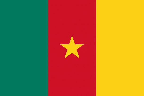 Cameroon Flag (12)