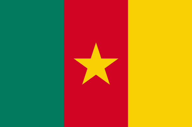 Cameroon Flag (14)