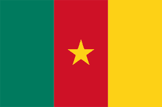 Cameroon Flag (15)