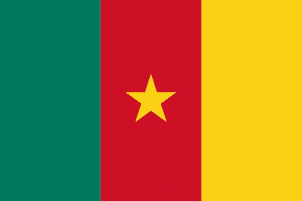 Cameroon Flag (16)