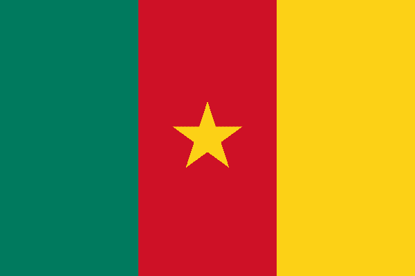 Cameroon Flag (19)