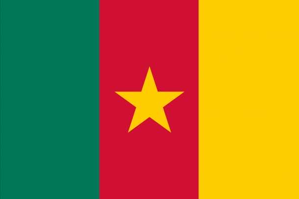 Cameroon Flag (2)