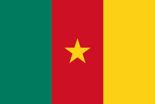 Cameroon Flag (20)