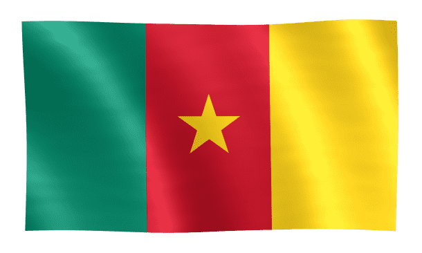 Cameroon Flag (23)
