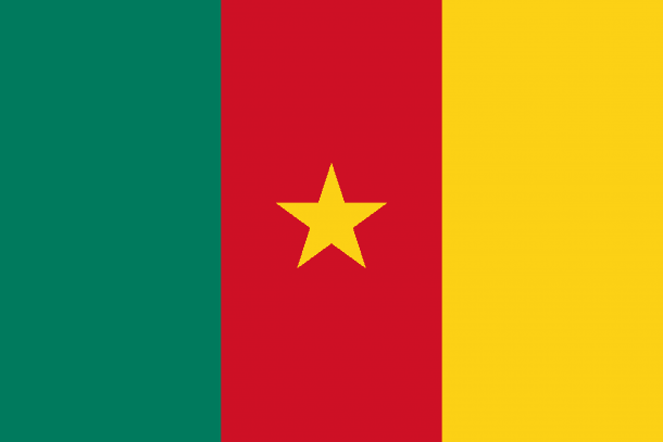 Cameroon Flag (24)