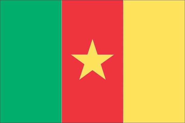 Cameroon Flag (3)