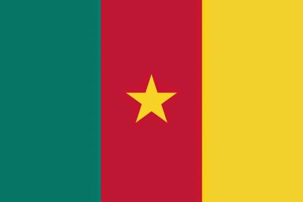 Cameroon Flag (4)