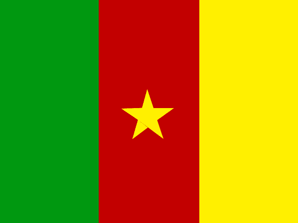 Cameroon Flag (5)