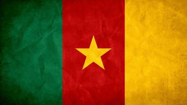 Cameroon Flag (6)