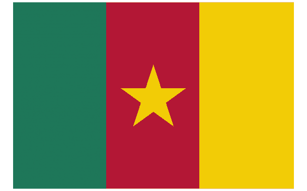 Cameroon Flag (6)