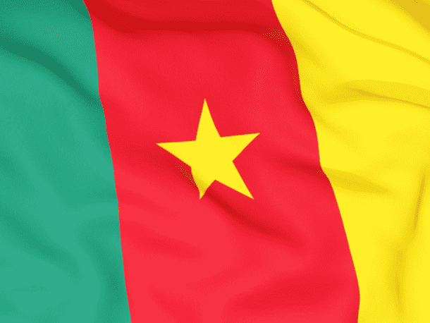 Cameroon Flag (7)