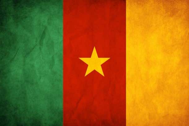 Cameroon Flag (9)