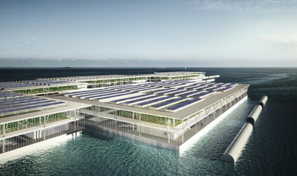 Floating Solar Farm Is Capable of Producing 8 Tons Of Vegetables Per Year 2