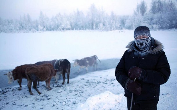 oymyakon the coldest city in the world10