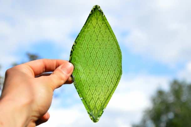 artificial leaf2
