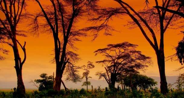 Africa Wallpaper 41