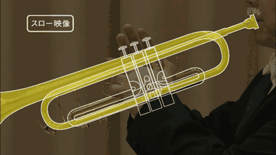 Amazing GIFs To Answer Your Questions 3