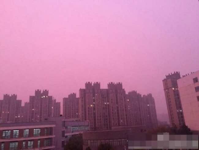 Nanjing pink sky4