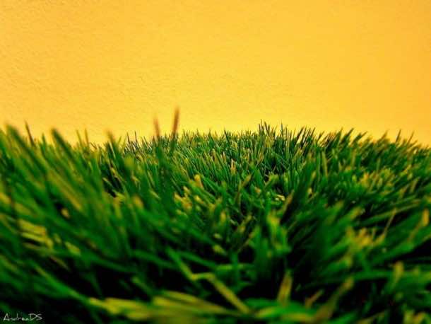Plastic Grass From China Allows To Generate Electricity From Wind Power