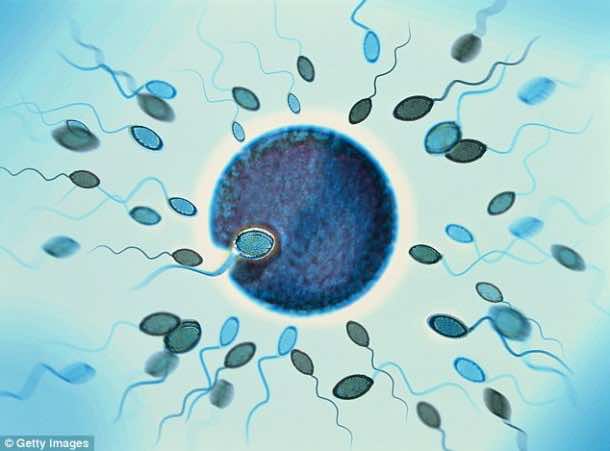 Robosperm Will Help In Conceiving With Couples Suffering From Low Motility 2