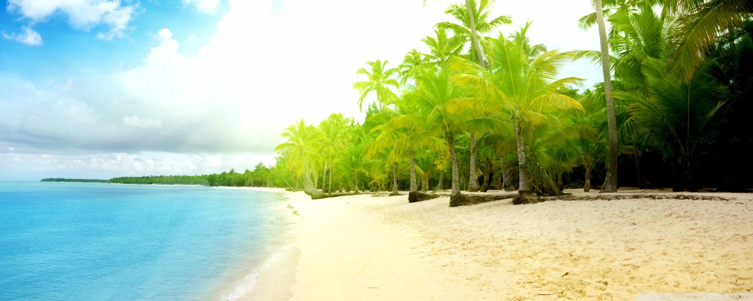 45 Beach Wallpaper For Mobile And Desktop In Full HD For Download