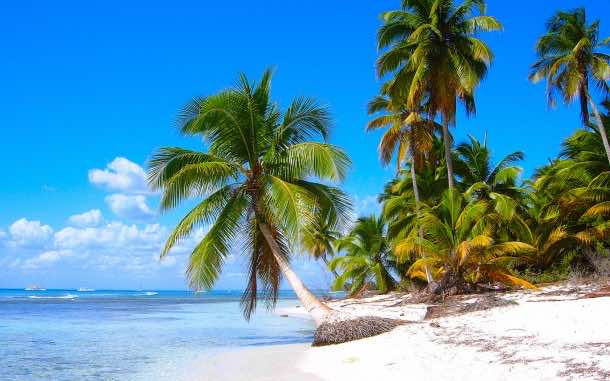 Saona Island beach, near La Altagracia Province, Dominican Republic