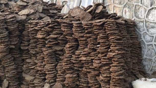 cow dung patties sales in India