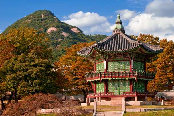 Autumn leaves at Gyeongbok Palace, Seoul, South Korea