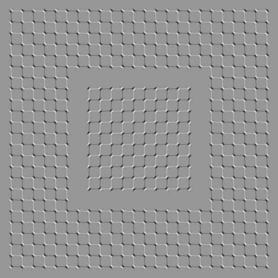 20 Images That Will Put Your Brain To Test 12