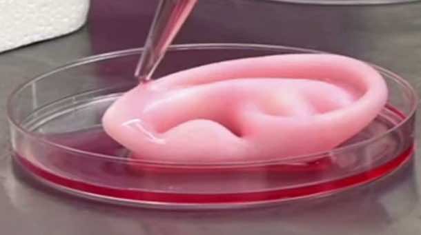 Latest 3D Bio Printer Can Make Body Parts That Are ‘Alive’ 4