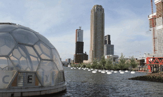Rotterdam floating forest3