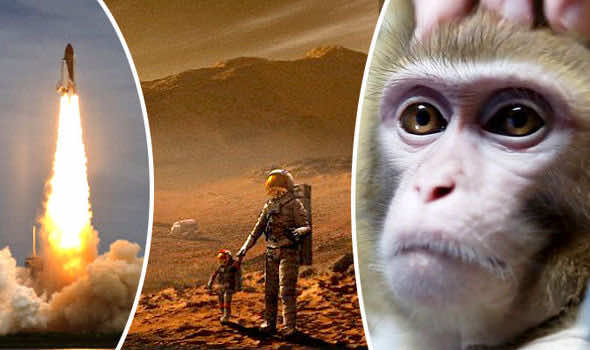 Russians Are Training Monkeys For A Mission To Mars 5