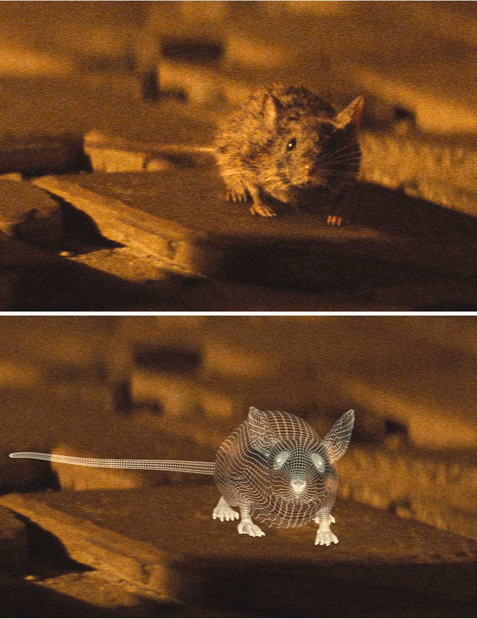 Spectre (2015) James Bond is led to his next clue in the hunt for Blofeld by a mouse which crawls along the floor to a secret room within an apartment 'Who sent you?' Bond asks the mouse - we see (BOTTOM) entirely the mouse was computer trickery
