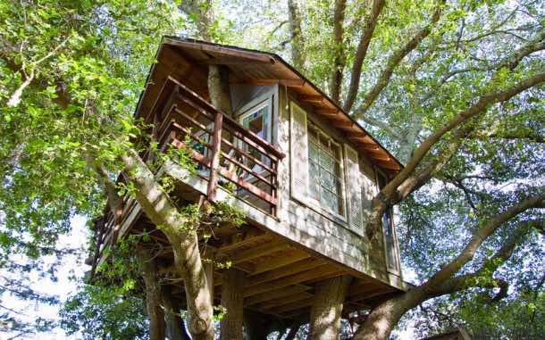 These Are The 10 Best Airbnb TreeHouses You Can Rent 2