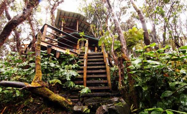 These Are The 10 Best Airbnb TreeHouses You Can Rent 3