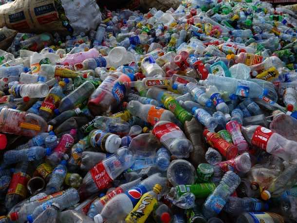 This Bacteria Can Degrade Plastic Bottles, Study Claims 2