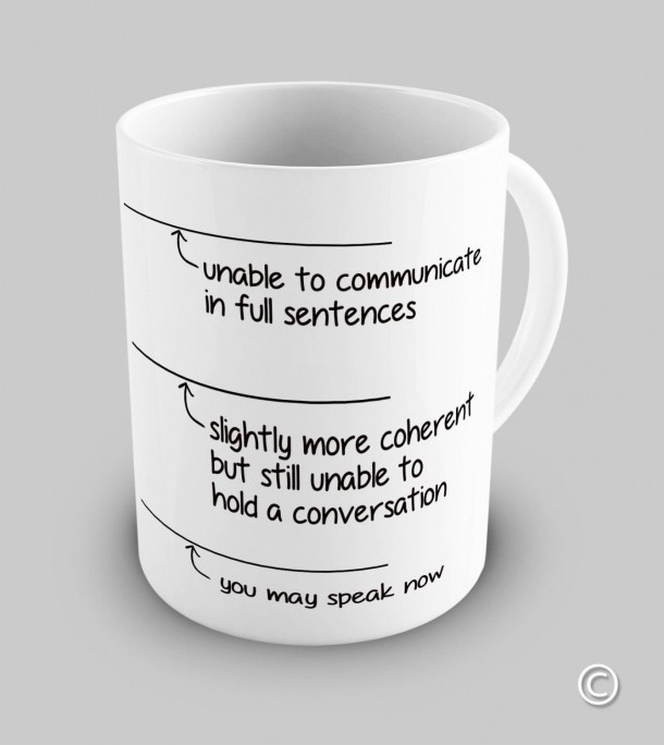Funny You May Speak Now 11OZ Engineer Coffee Mugs