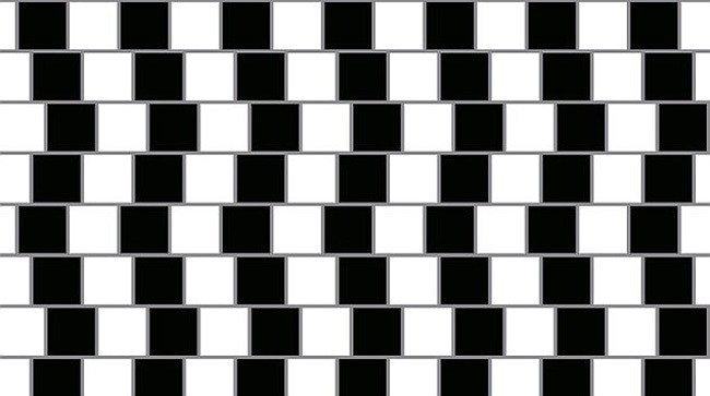 14 optical illusions5
