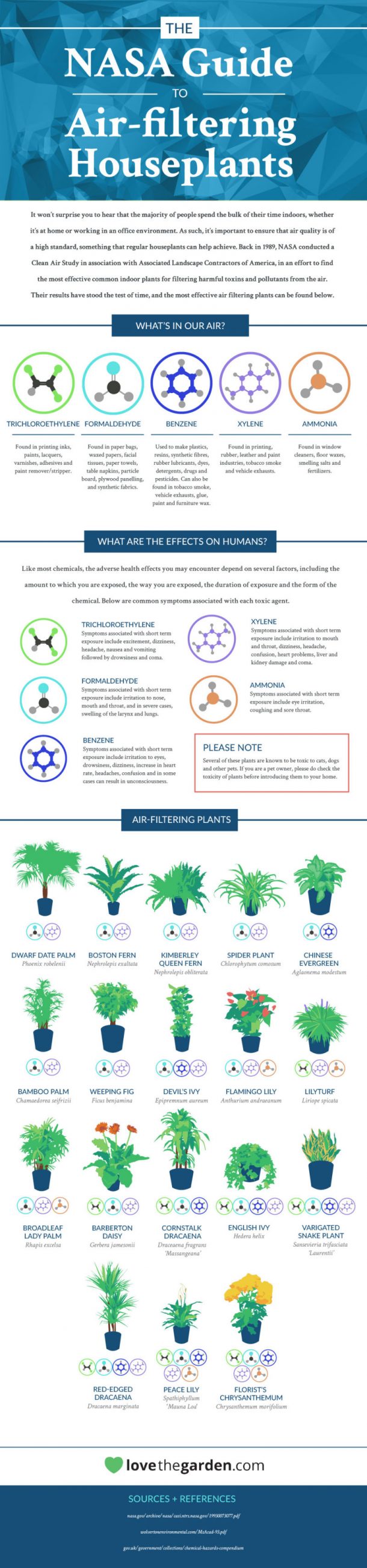 18 Plants That Are Best At Filtering Air In Your Home According To NASA 2