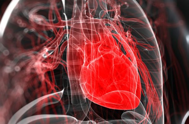 Stem Cells Used For Creating A Lab-Grown Beating Heart 3