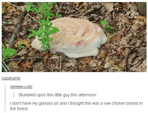 The Best Of Tumblr 25