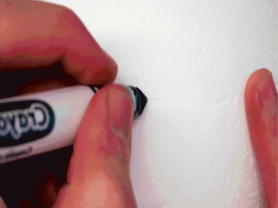 These GIFS Will Answer The Questions You’ve Always Had