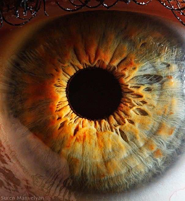 Mesmerizing Images Capture The Fascinating Complexity Of The Human Eye_Image 11