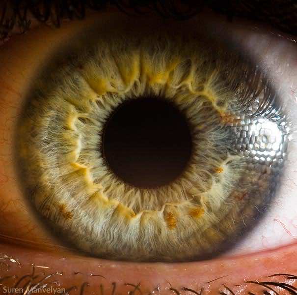 Mesmerizing Images Capture The Fascinating Complexity Of The Human Eye_Image 4
