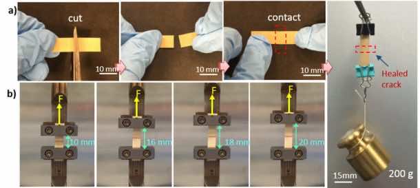 New Self-Healing Electronic Material Works Even After It Is Cut In Half_Image 1